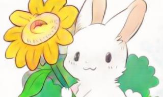兔子简笔画怎么画 画小白兔简笔画
